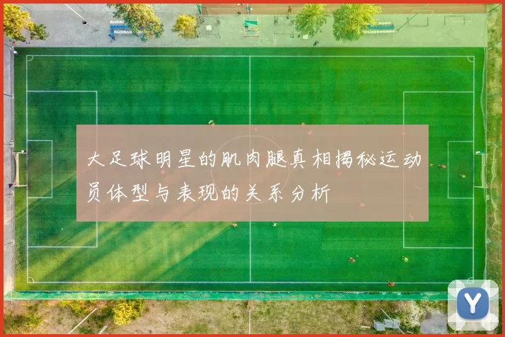 大足球明星的肌肉腿真相揭秘运动员体型与表现的关系分析