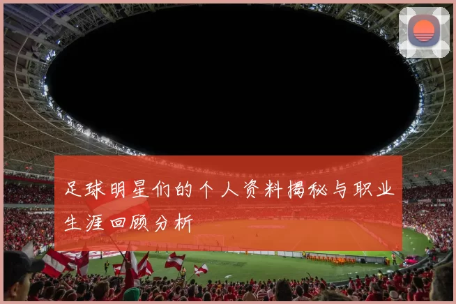 足球明星们的个人资料揭秘与职业生涯回顾分析