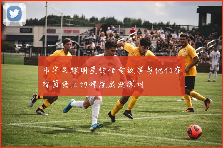 韦字足球明星的传奇故事与他们在绿茵场上的辉煌成就探讨