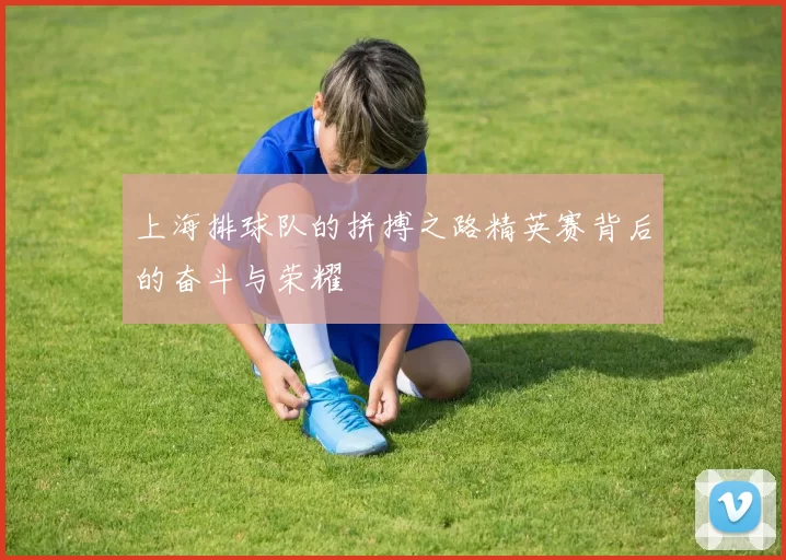 上海排球队的拼搏之路精英赛背后的奋斗与荣耀