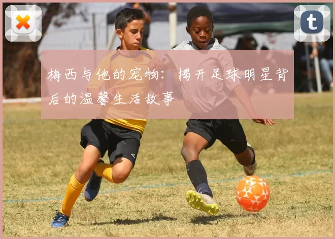 梅西与他的宠物：揭开足球明星背后的温馨生活故事
