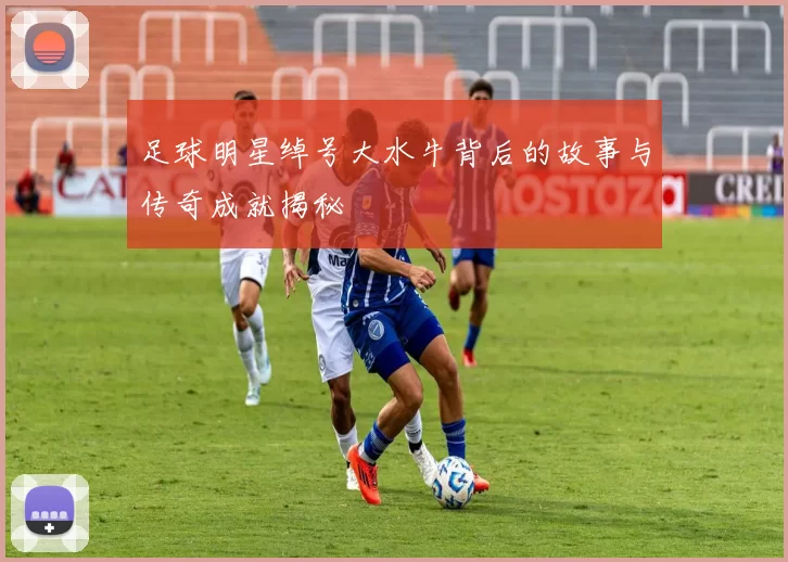 足球明星绰号大水牛背后的故事与传奇成就揭秘