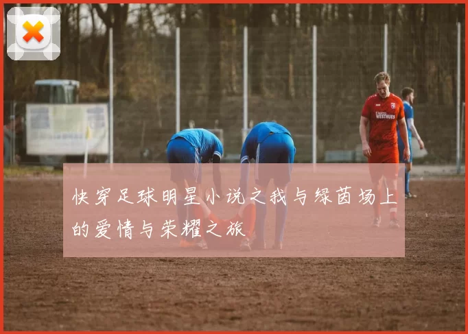 快穿足球明星小说之我与绿茵场上的爱情与荣耀之旅