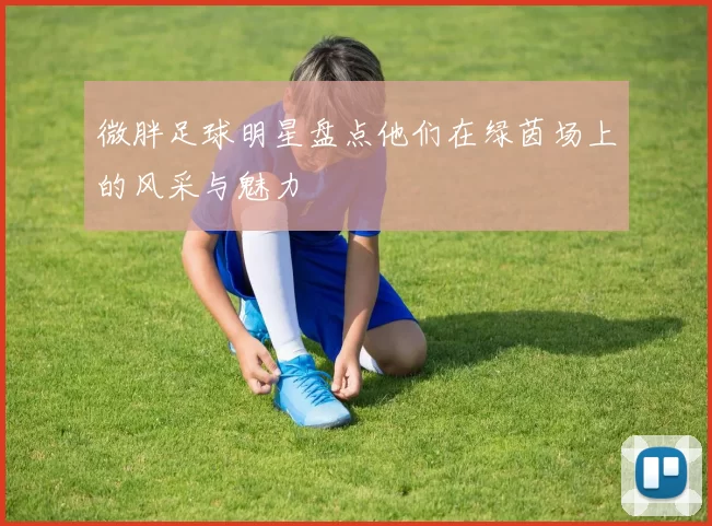微胖足球明星盘点他们在绿茵场上的风采与魅力