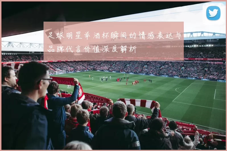 足球明星举酒杯瞬间的情感表达与品牌代言价值深度解析