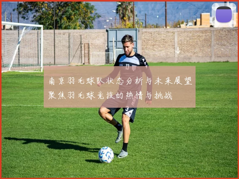 南京羽毛球队状态分析与未来展望聚焦羽毛球竞技的热情与挑战