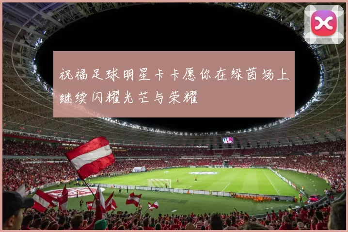 祝福足球明星卡卡愿你在绿茵场上继续闪耀光芒与荣耀