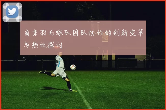 南京羽毛球队团队协作的创新变革与热议探讨