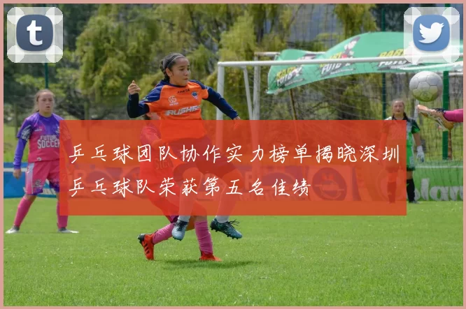 乒乓球团队协作实力榜单揭晓深圳乒乓球队荣获第五名佳绩