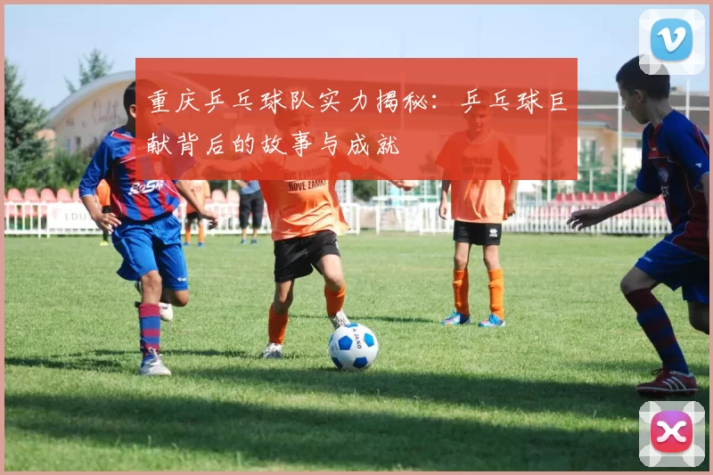 重庆乒乓球队实力揭秘：乒乓球巨献背后的故事与成就