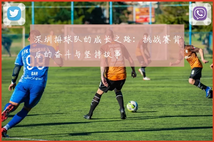 深圳排球队的成长之路：挑战赛背后的奋斗与坚持故事
