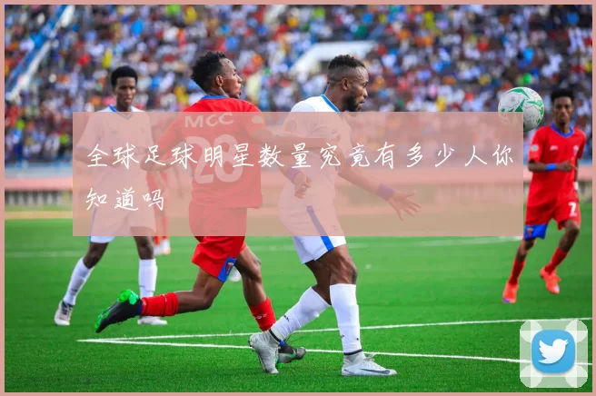 全球足球明星数量究竟有多少人你知道吗