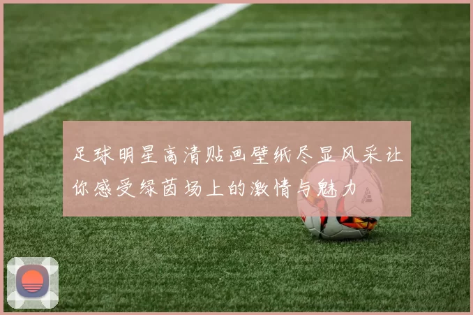 足球明星高清贴画壁纸尽显风采让你感受绿茵场上的激情与魅力