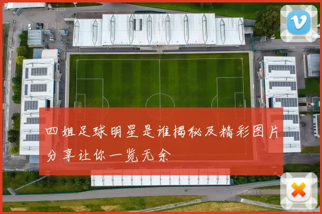 四姐足球明星是谁揭秘及精彩图片分享让你一览无余