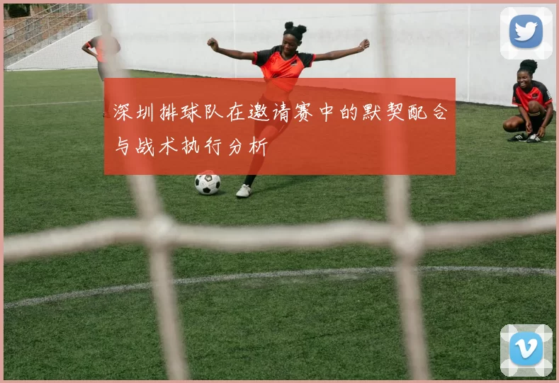 深圳排球队在邀请赛中的默契配合与战术执行分析