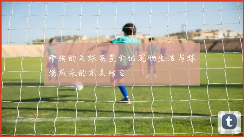 带狗的足球明星们的宠物生活与球场风采的完美结合