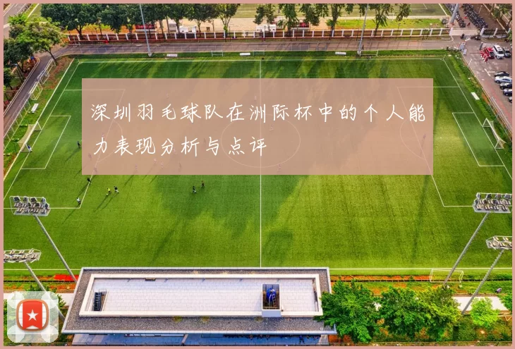 深圳羽毛球队在洲际杯中的个人能力表现分析与点评