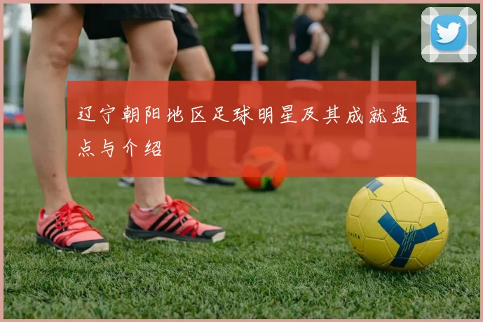 辽宁朝阳地区足球明星及其成就盘点与介绍