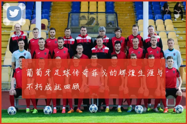 葡萄牙足球传奇菲戈的辉煌生涯与不朽成就回顾