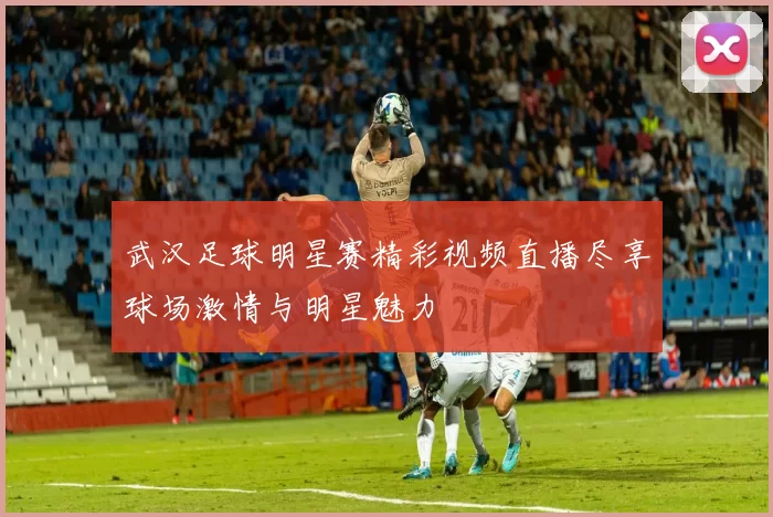 武汉足球明星赛精彩视频直播尽享球场激情与明星魅力